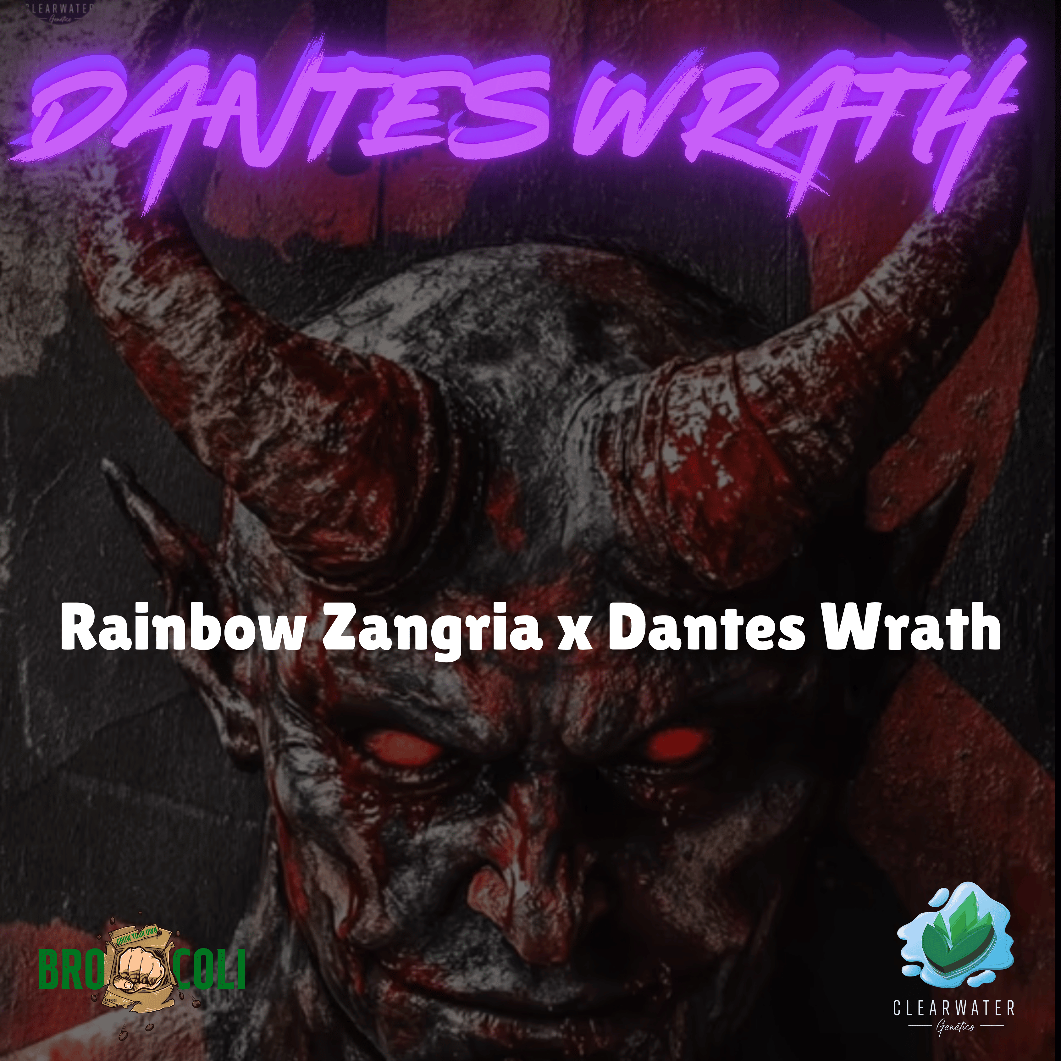 Rainbow Zangria x Dantes Wrath