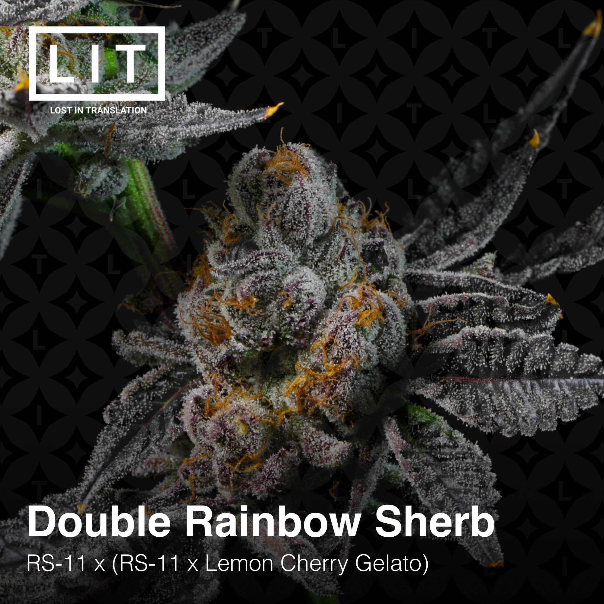 Double Rainbow Sherb