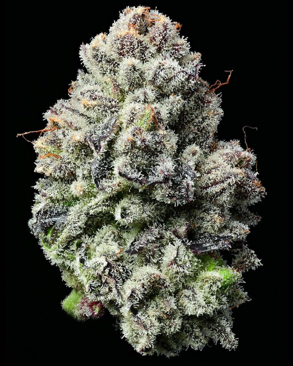 Lemon Cherry Gelato