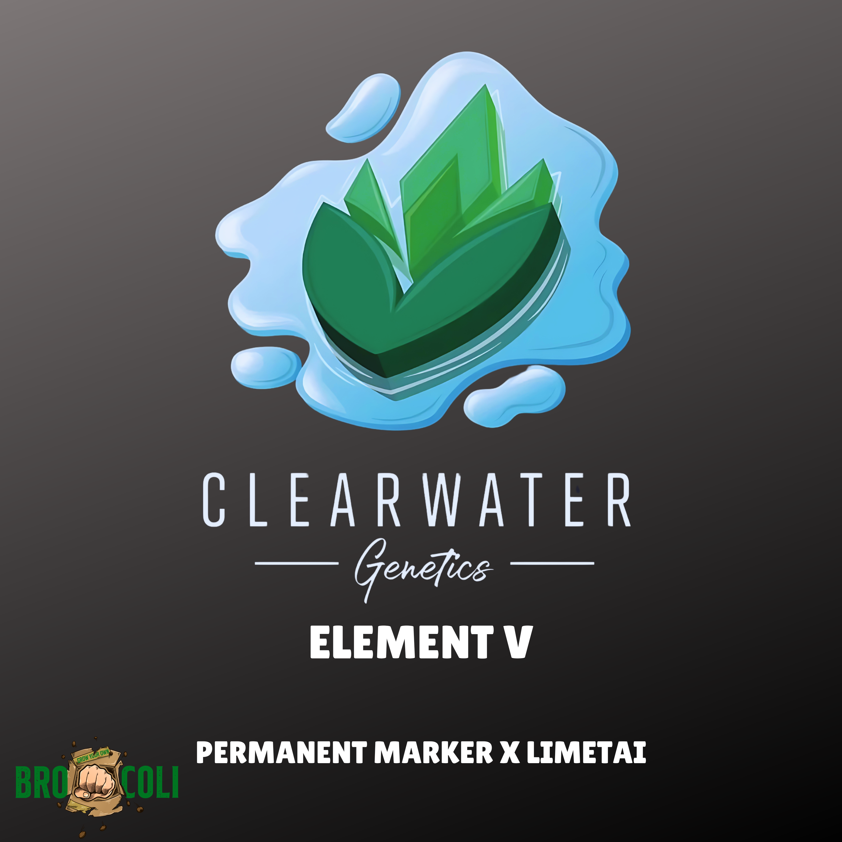 Element V