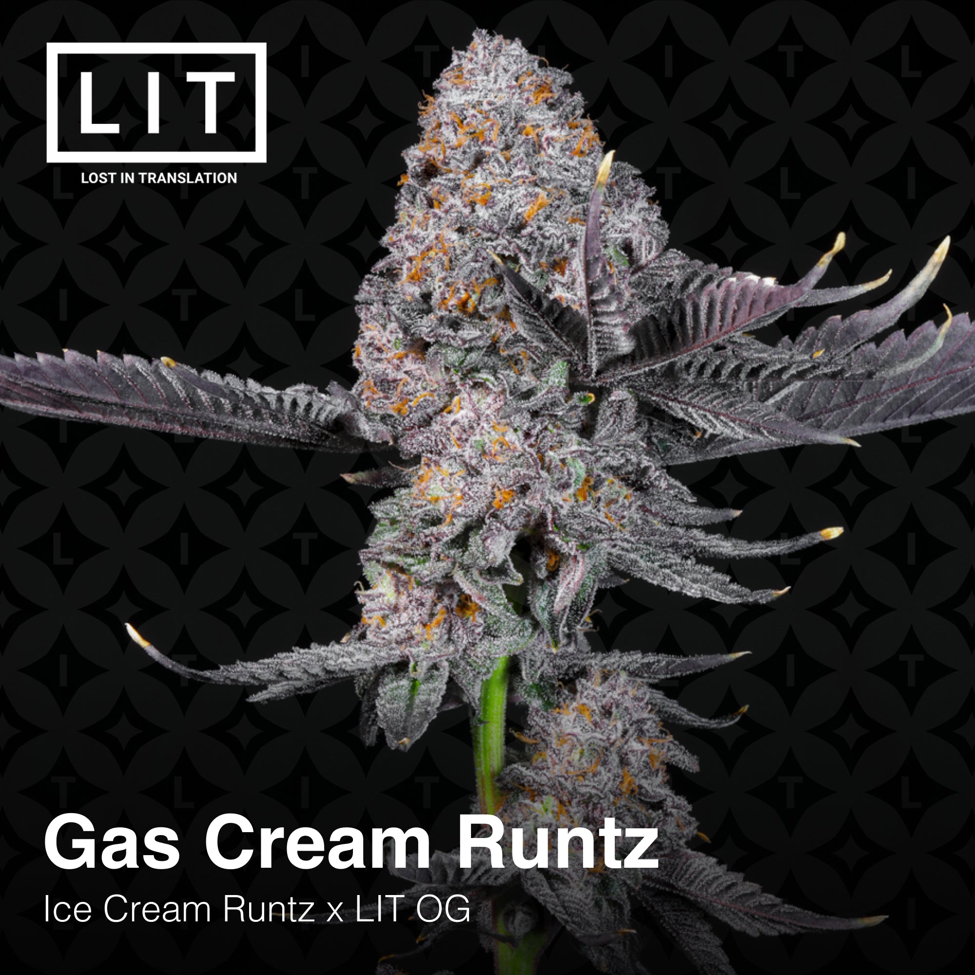 Gas Cream Runtz