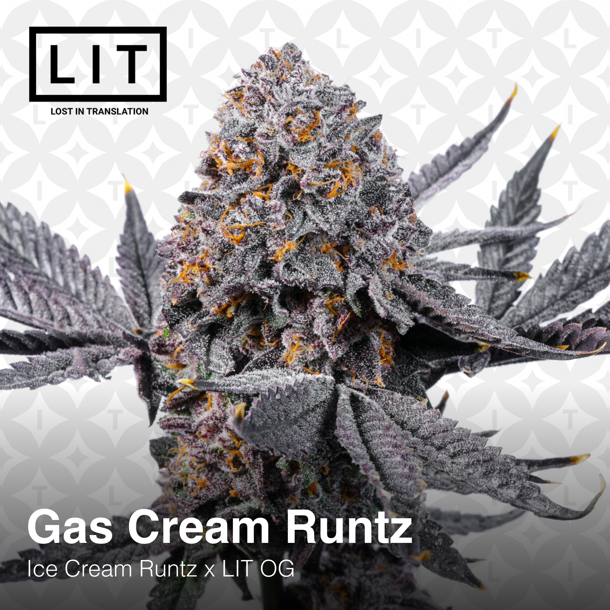 Gas Cream Runtz