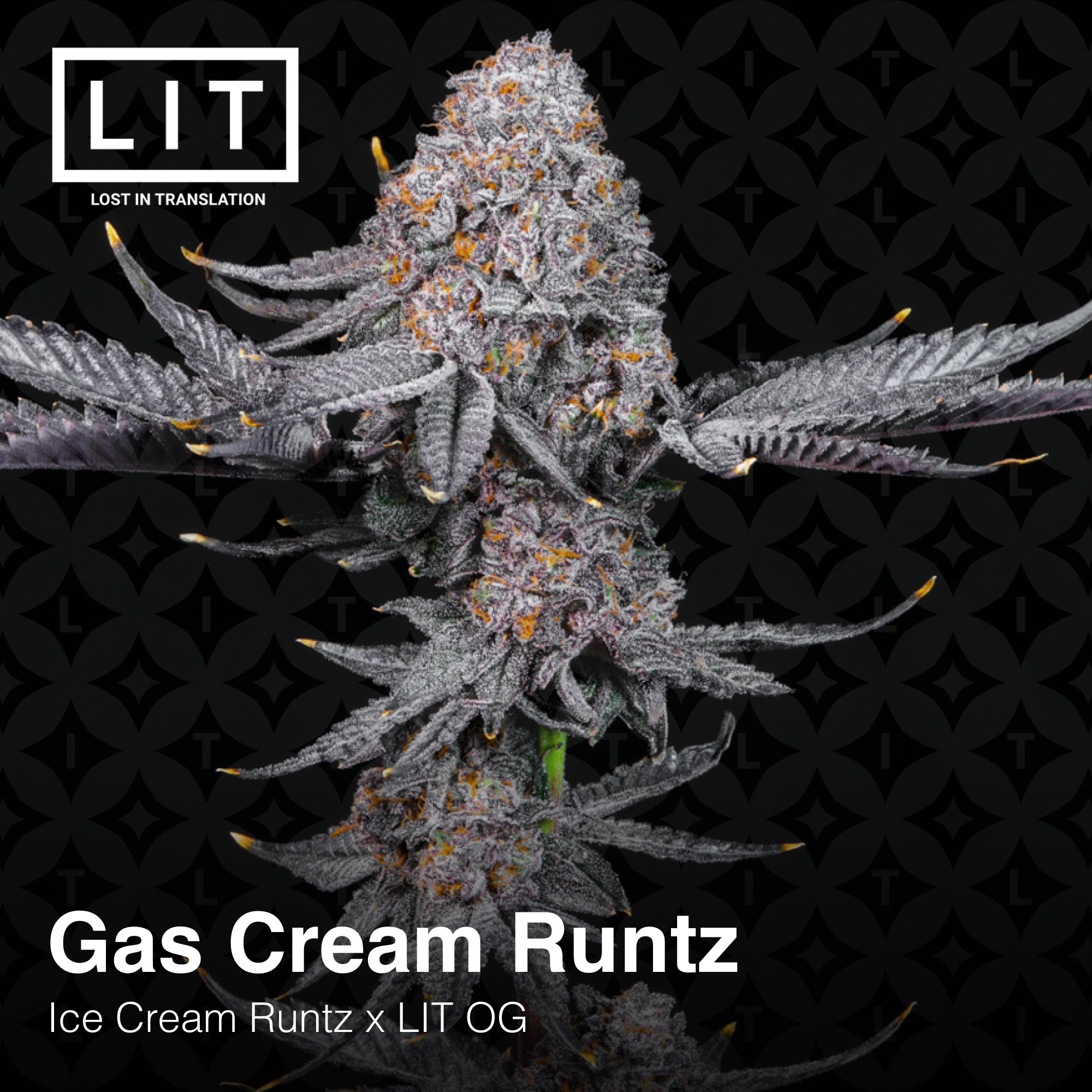 Gas Cream Runtz