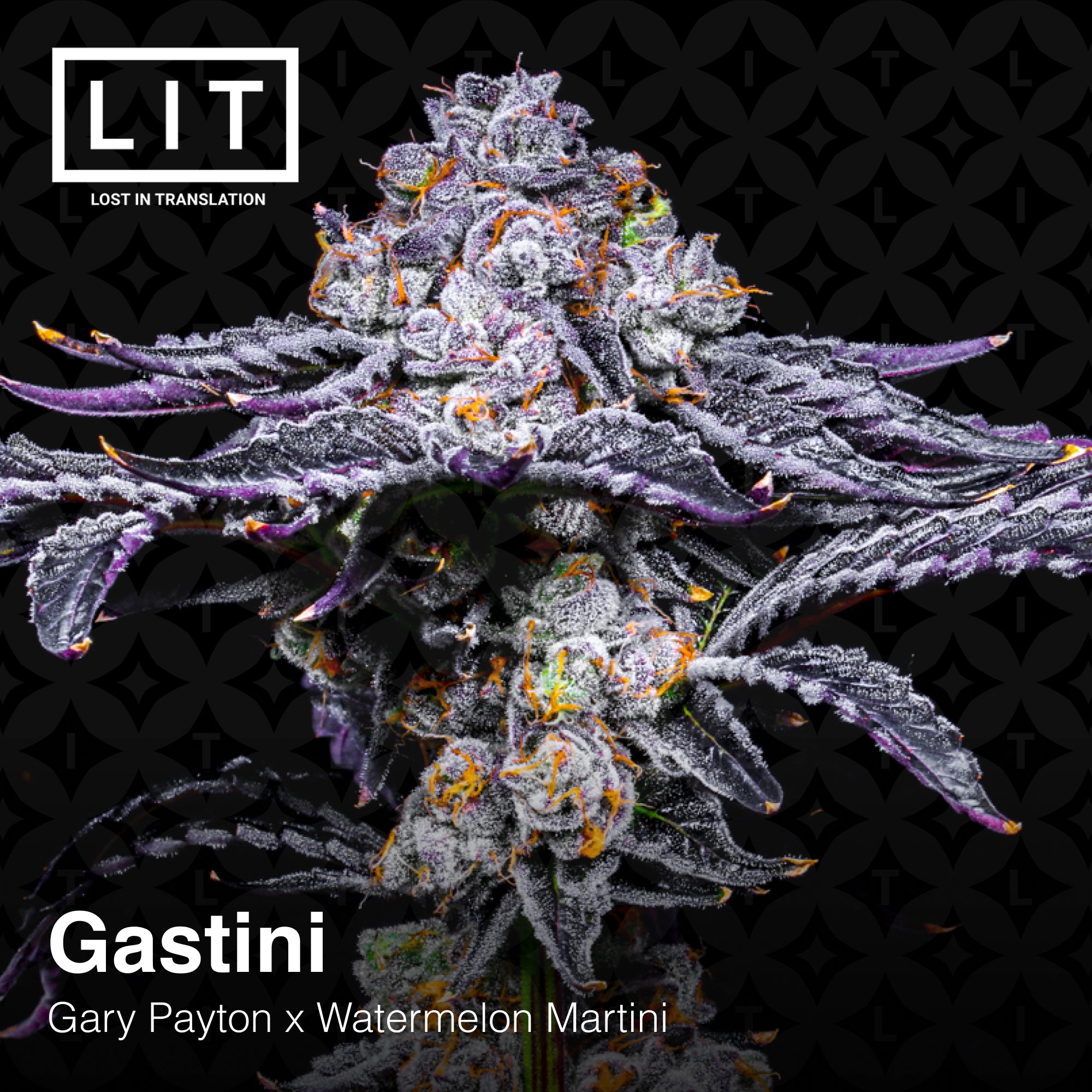 Gastini