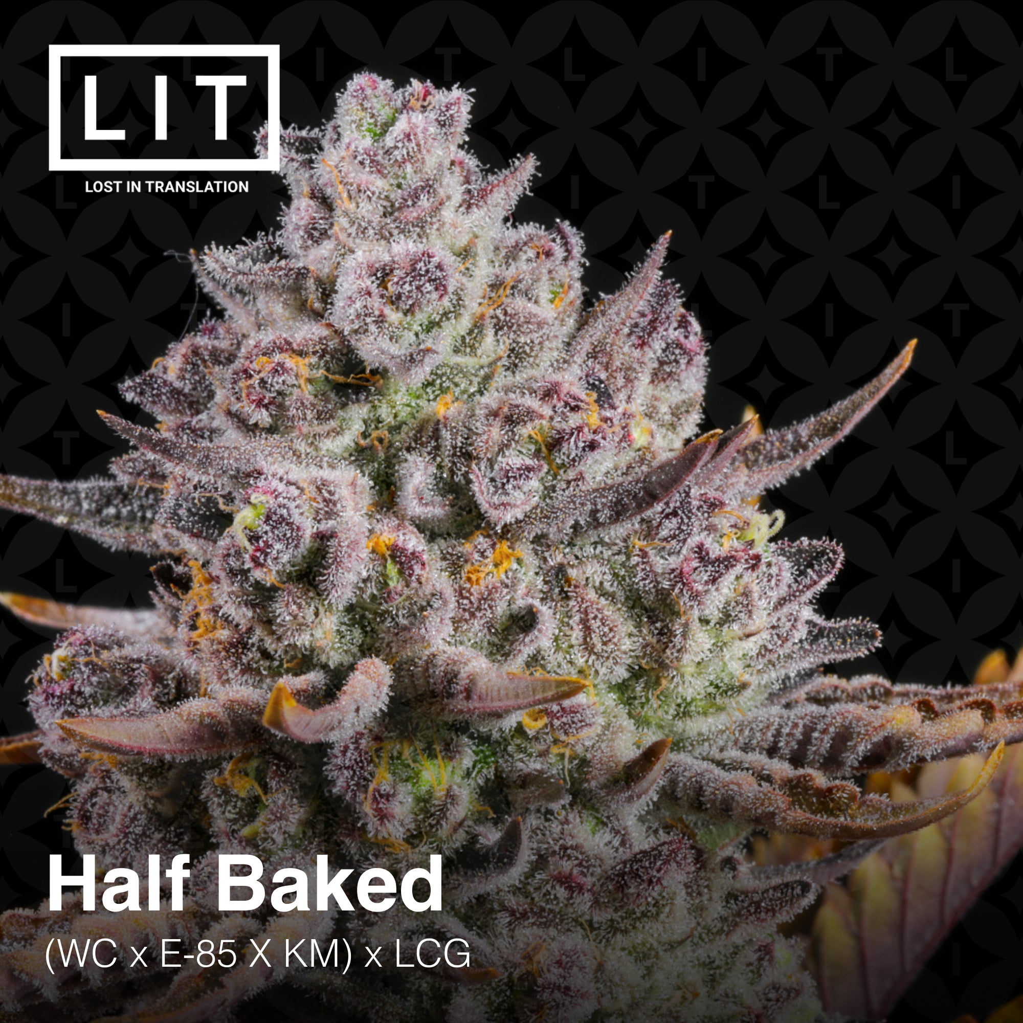 Half Baked