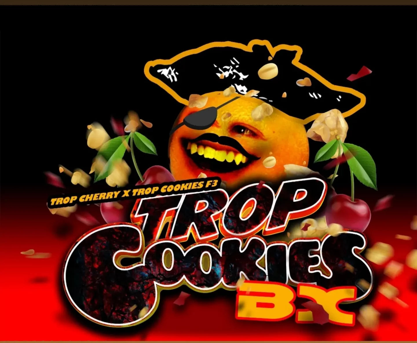 Trop Cookies Bx (Trop Cherry x Trop Cookies F2)