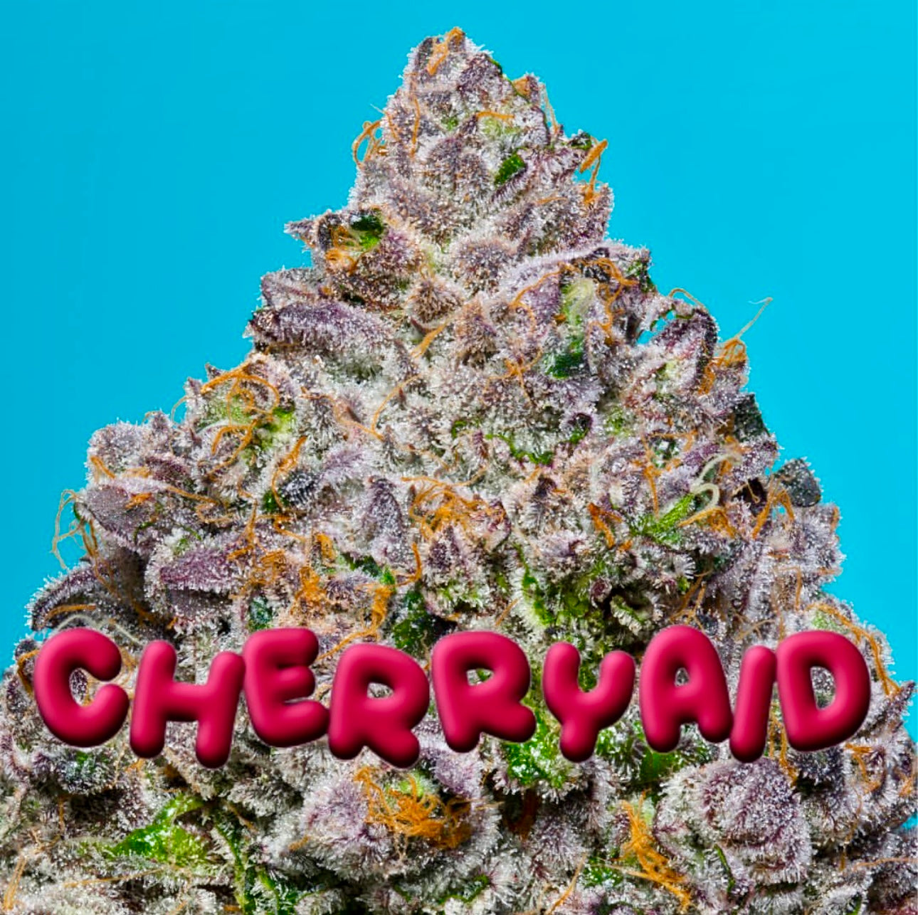 CherryAid