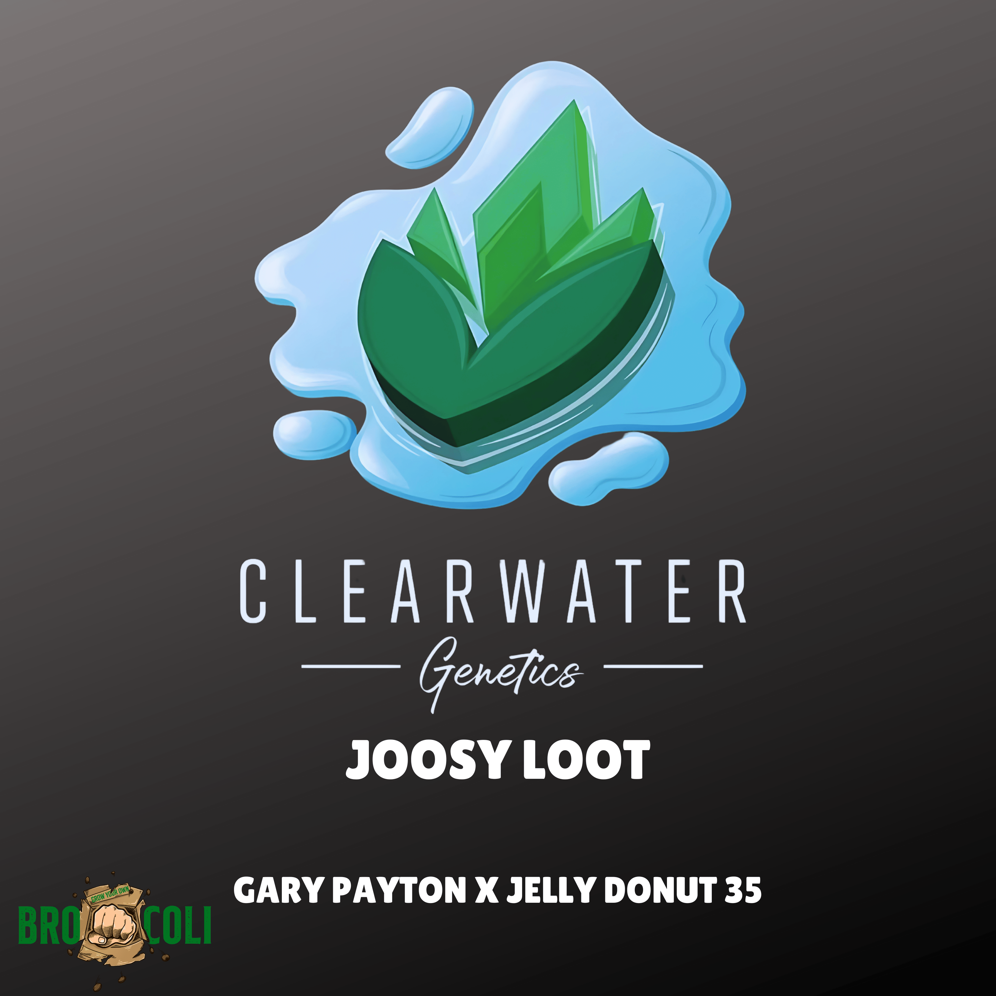 Joosy Loot