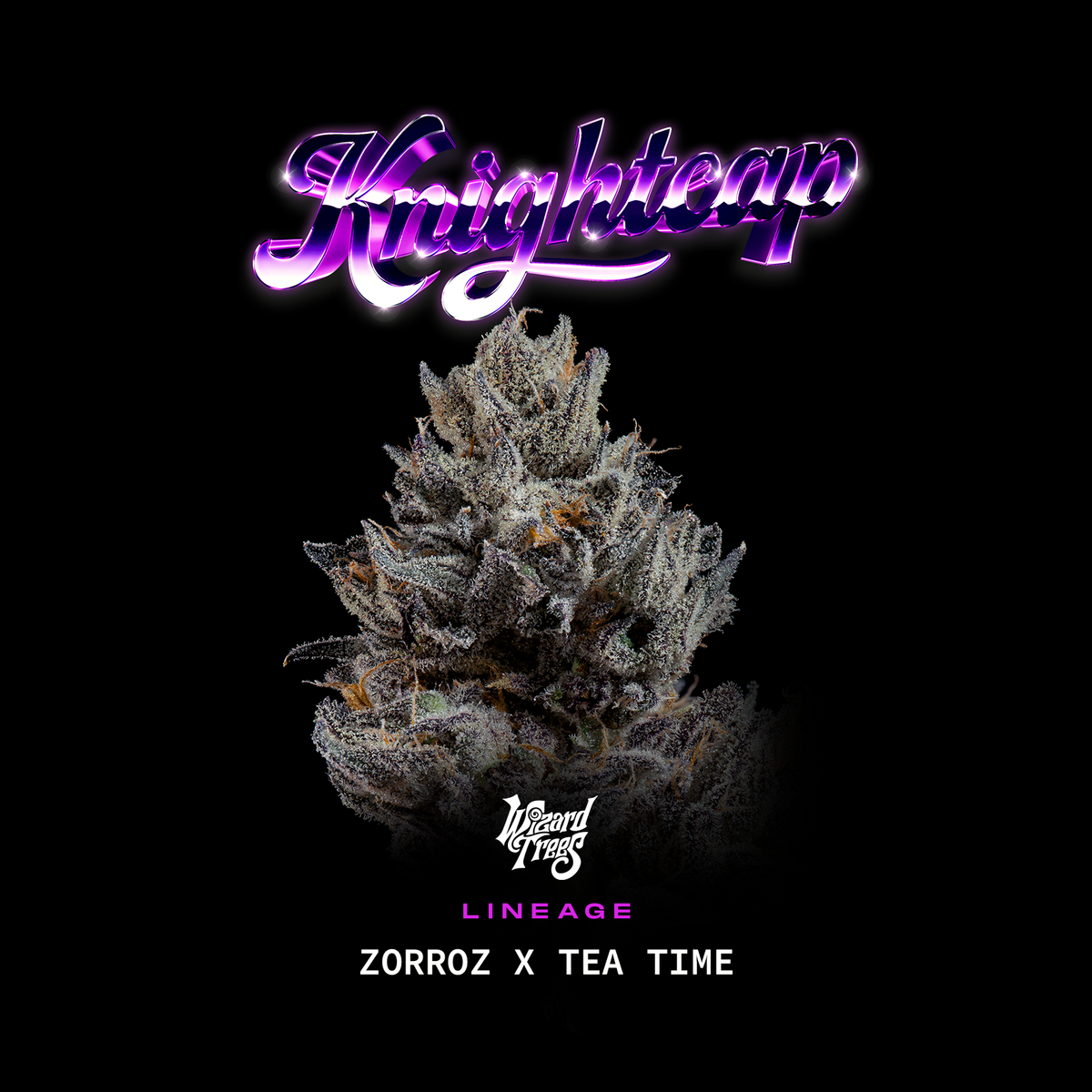 Knightcap.png?crop=center&