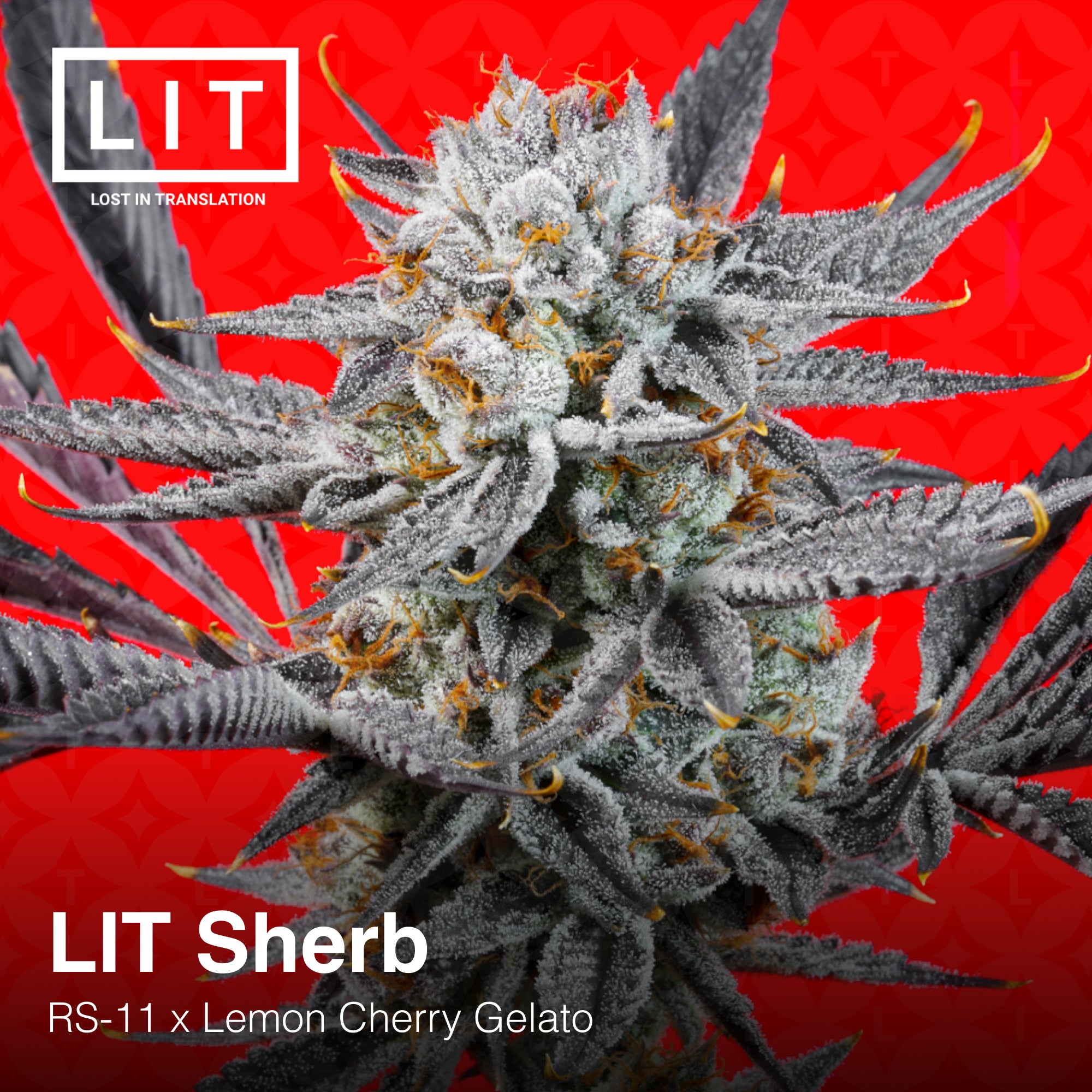 LIT Sherb