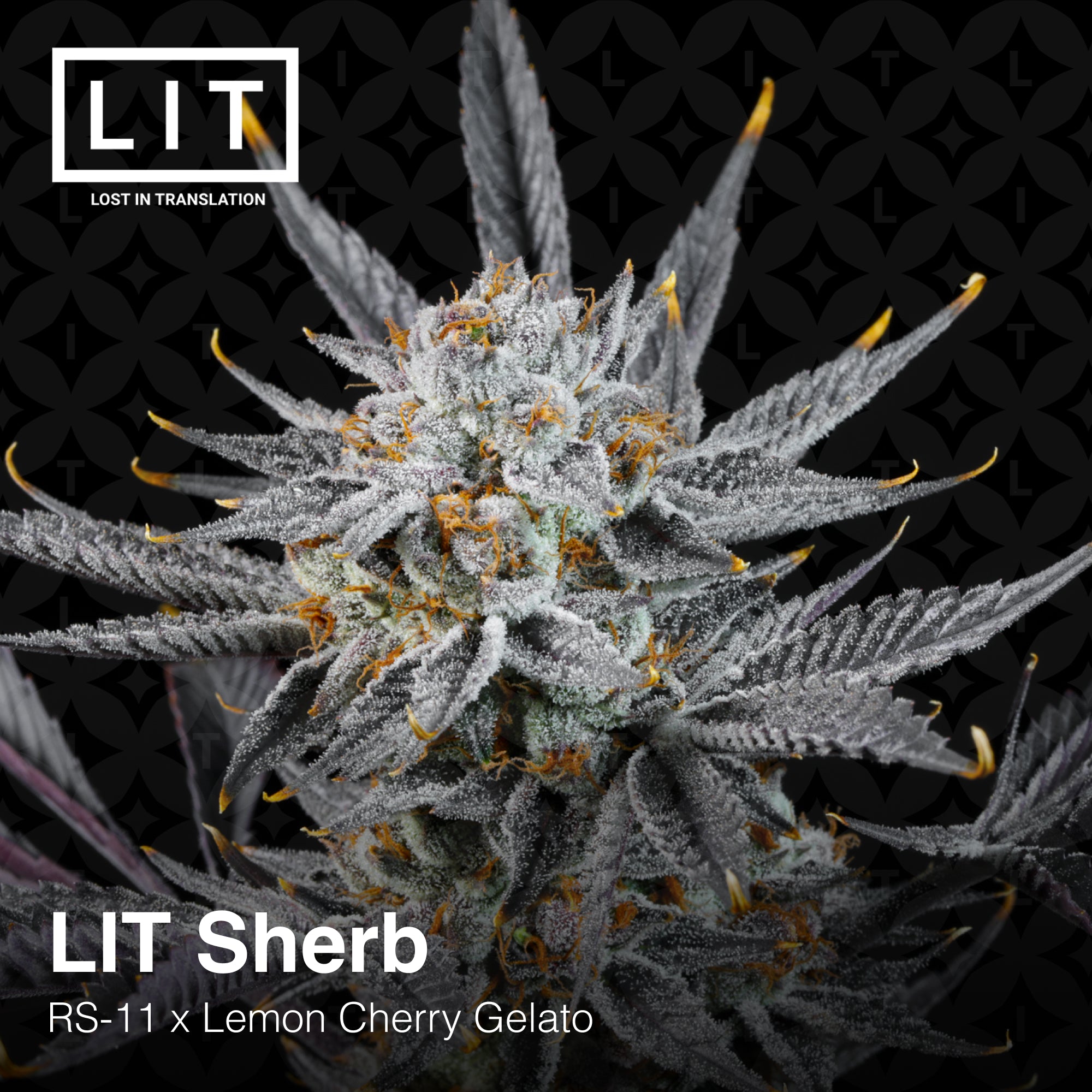 LIT Sherb