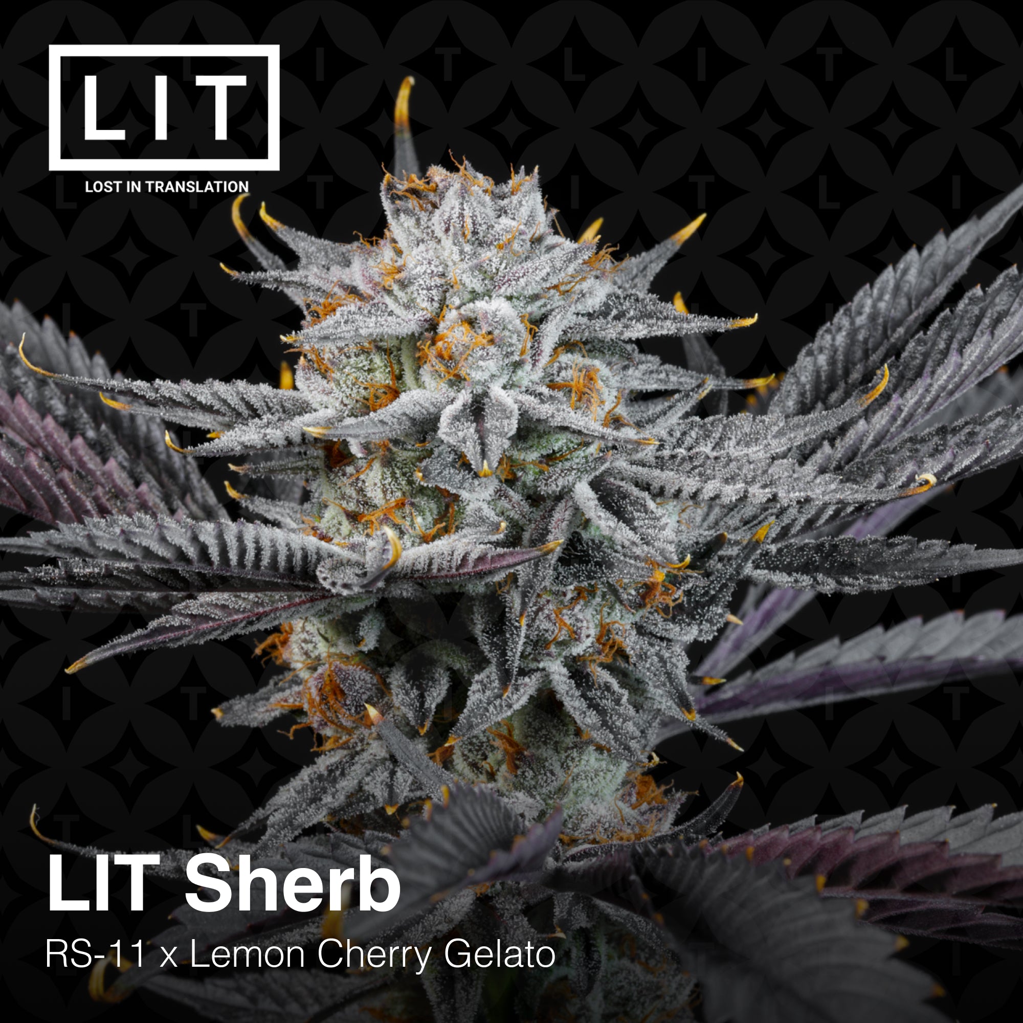 LIT Sherb