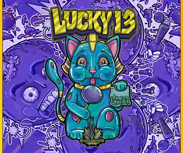 Lucky Getページ Lucky-13-Strain-600x600.png?