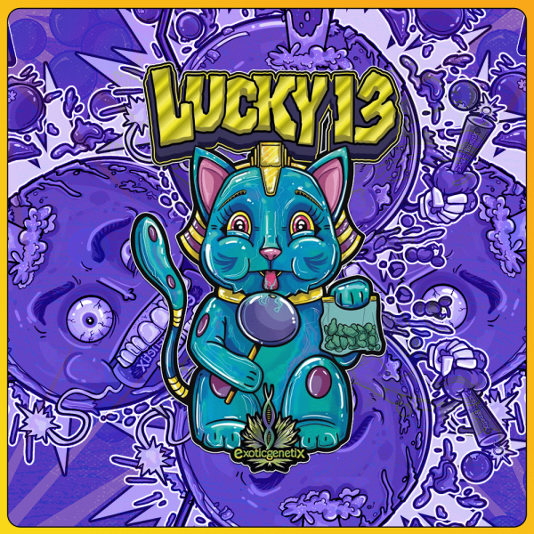 Lucky 13