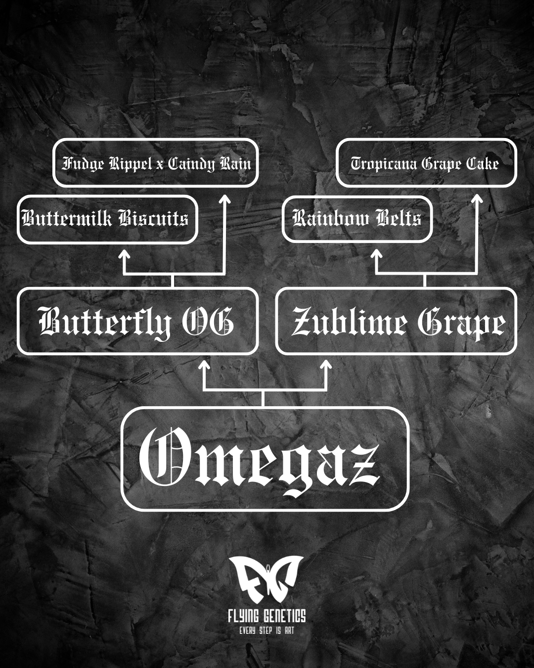 Omegaz