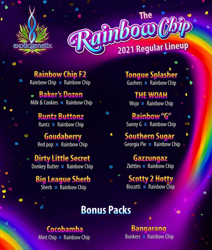 Rainbow Chip F2