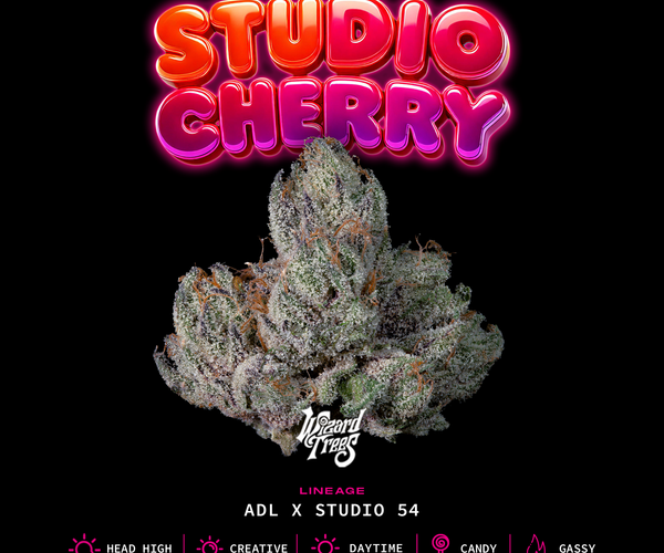 STUDIOCHERRY.png?crop=center&