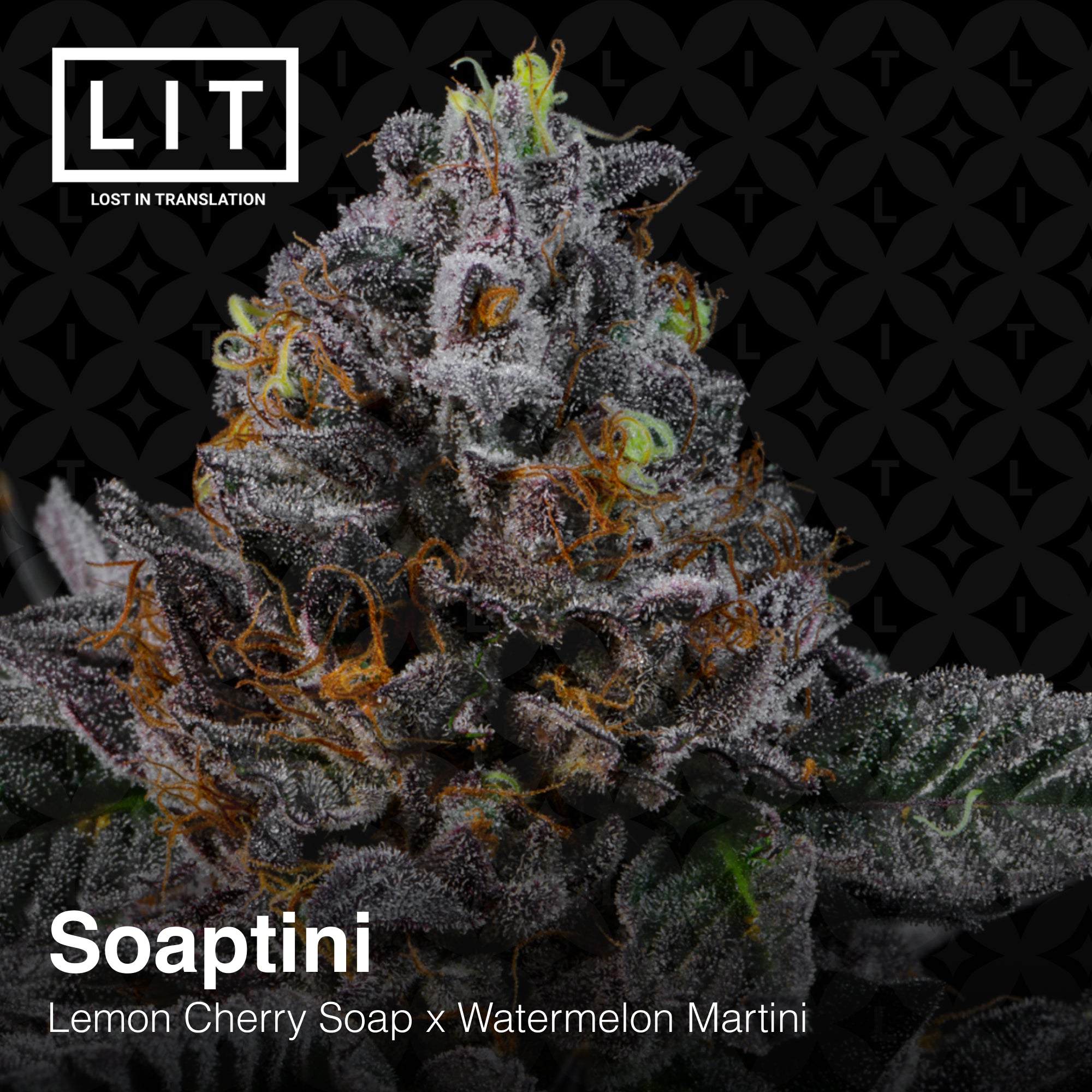 Soaptini