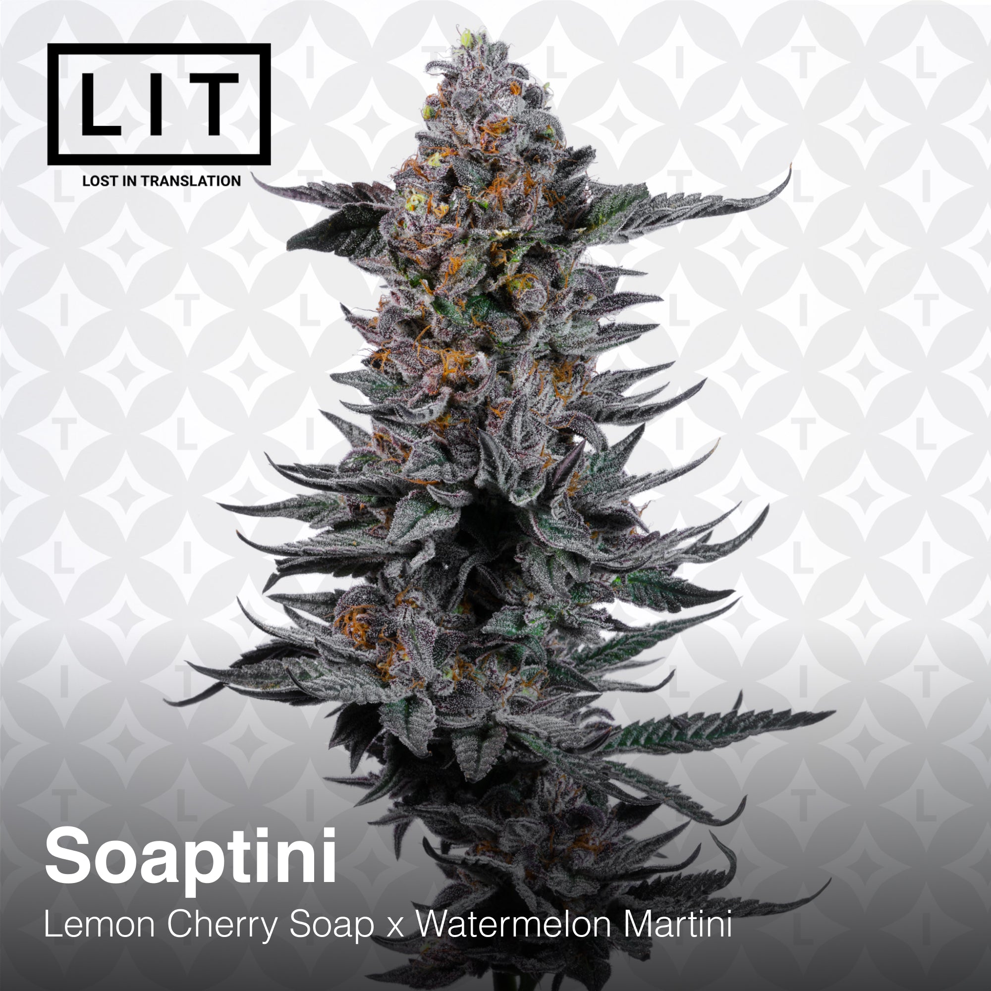 Soaptini