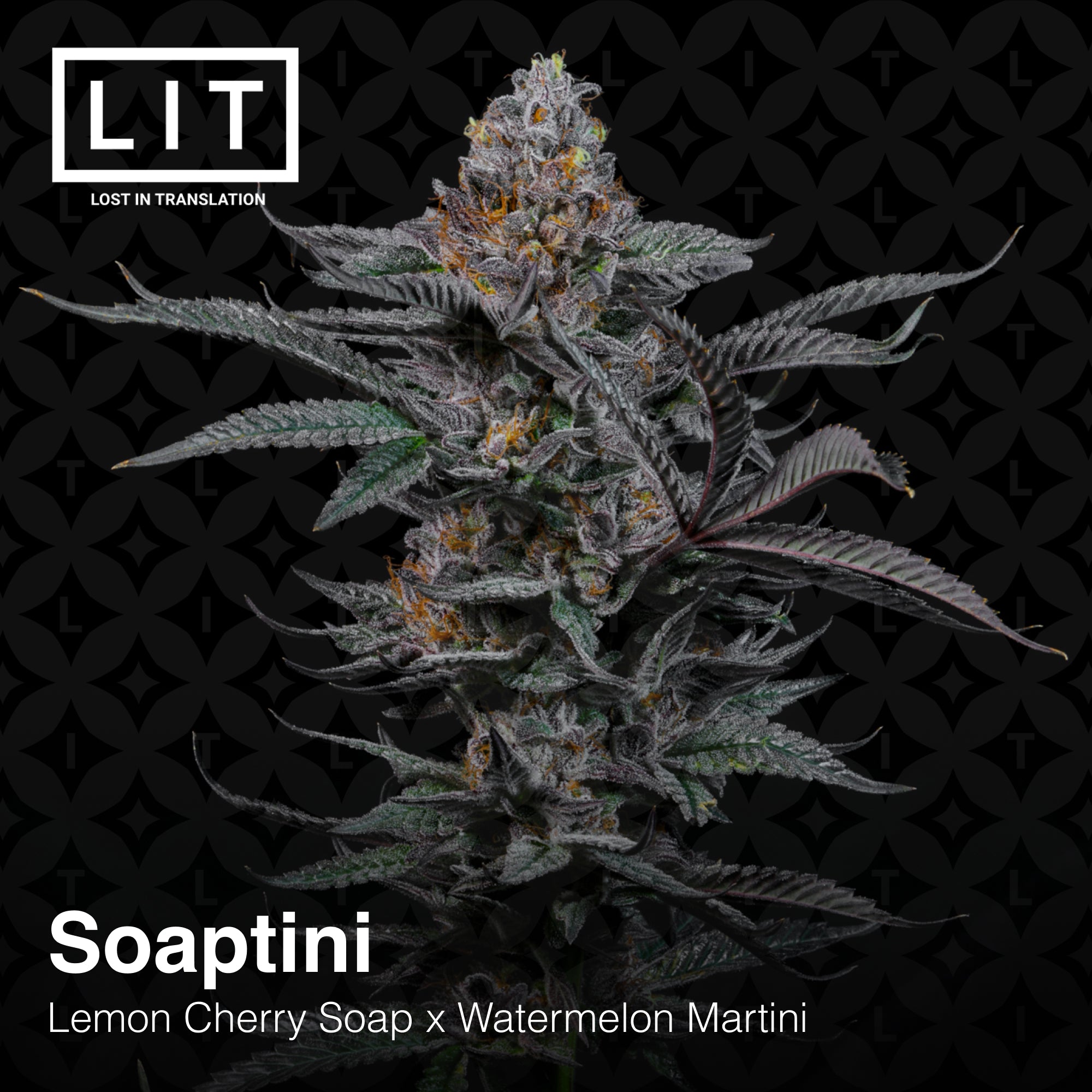 Soaptini