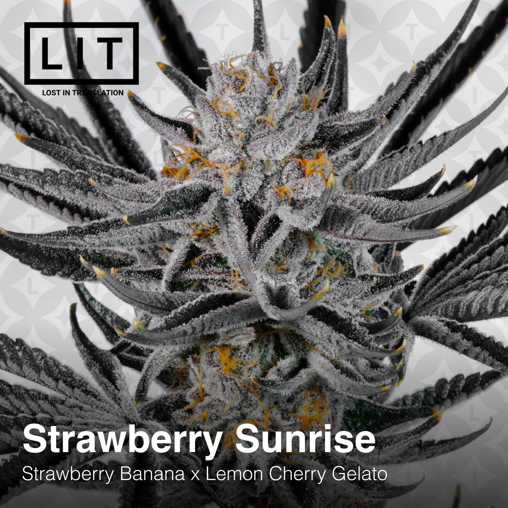 Strawberry Sunrise