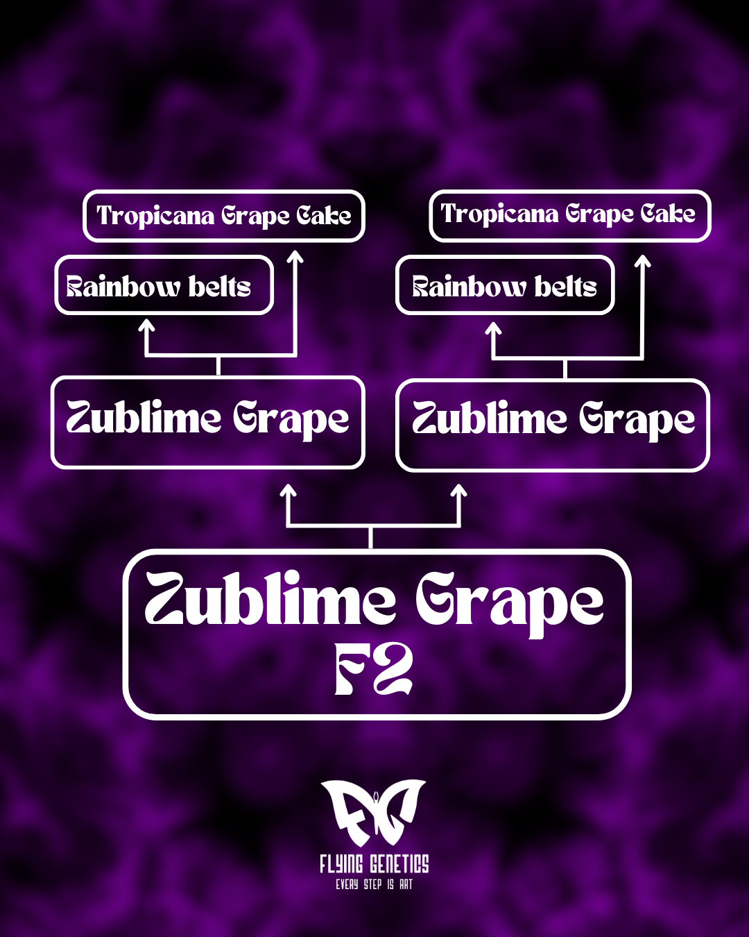 Zublime Grape F2