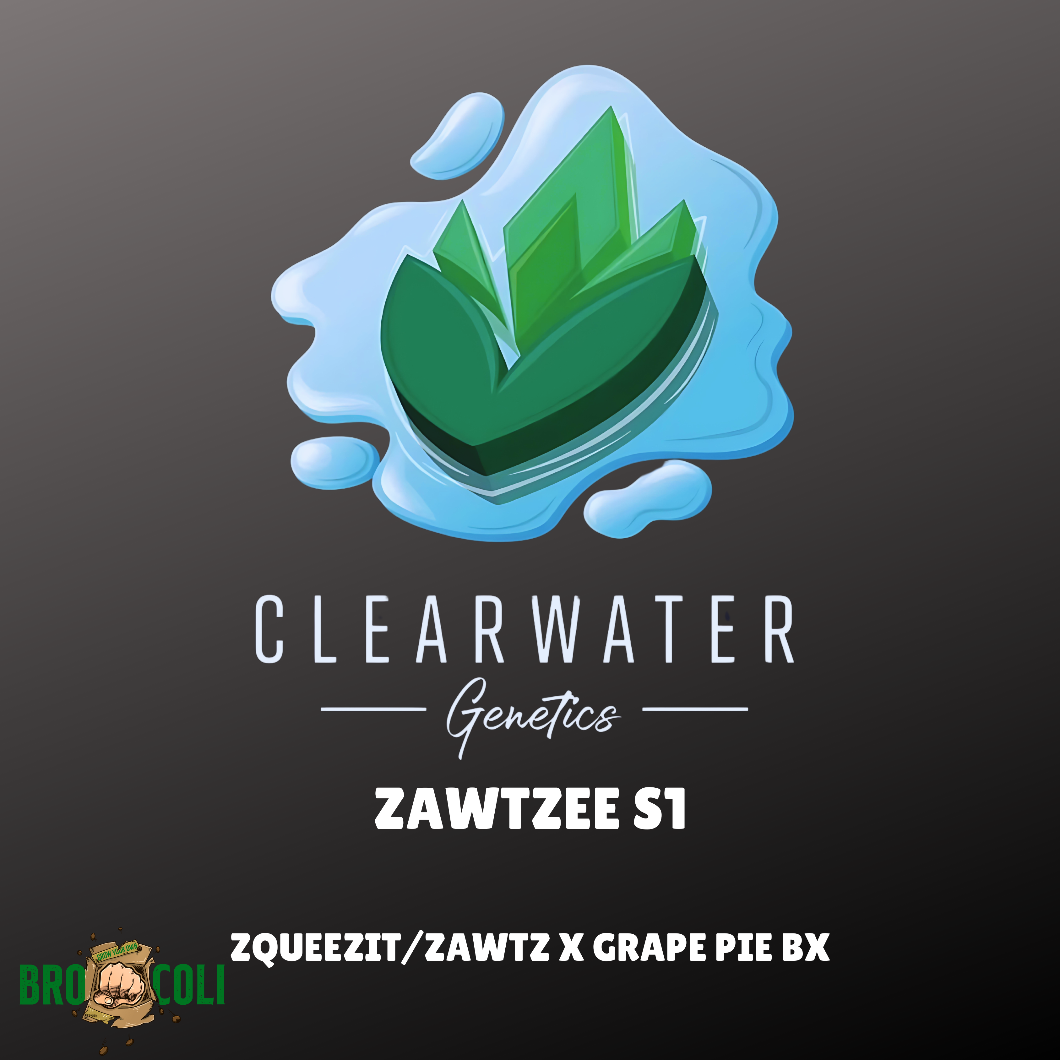 Zawtzee S1