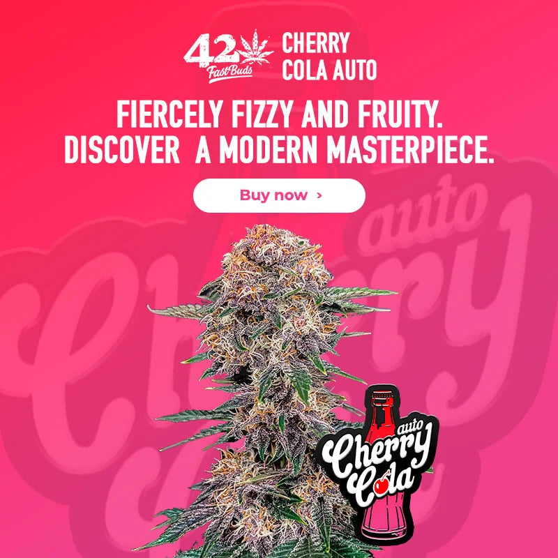 Cherry Cola Auto