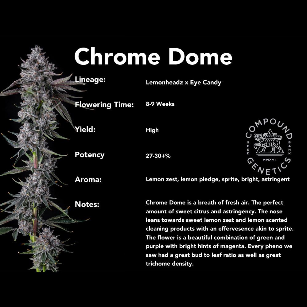 Chrome Dome