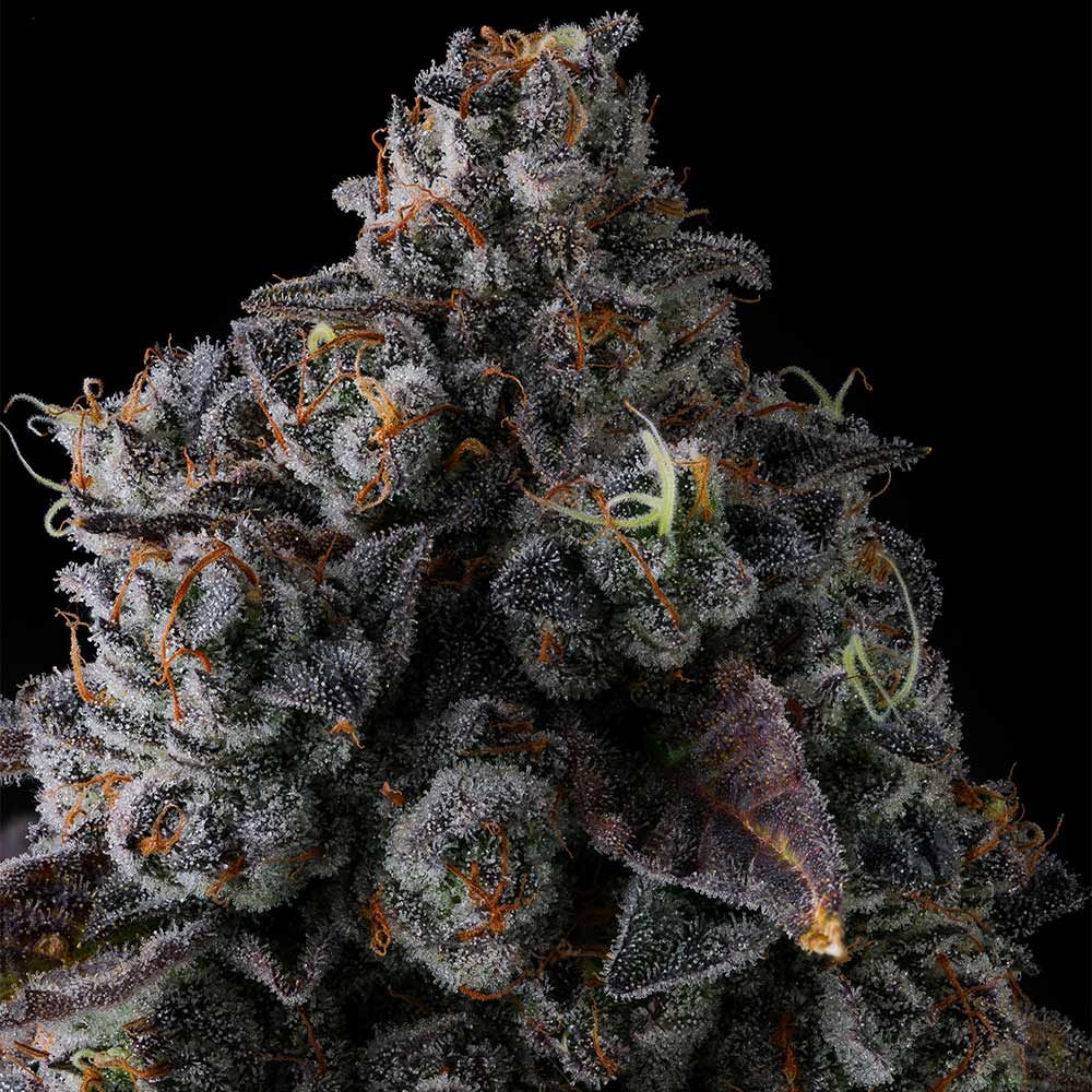 Crystal Chalice