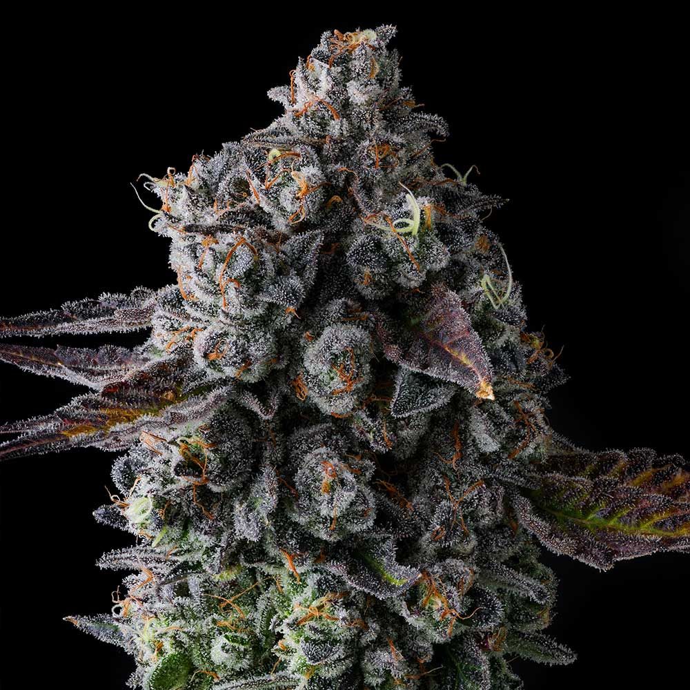 Crystal Chalice