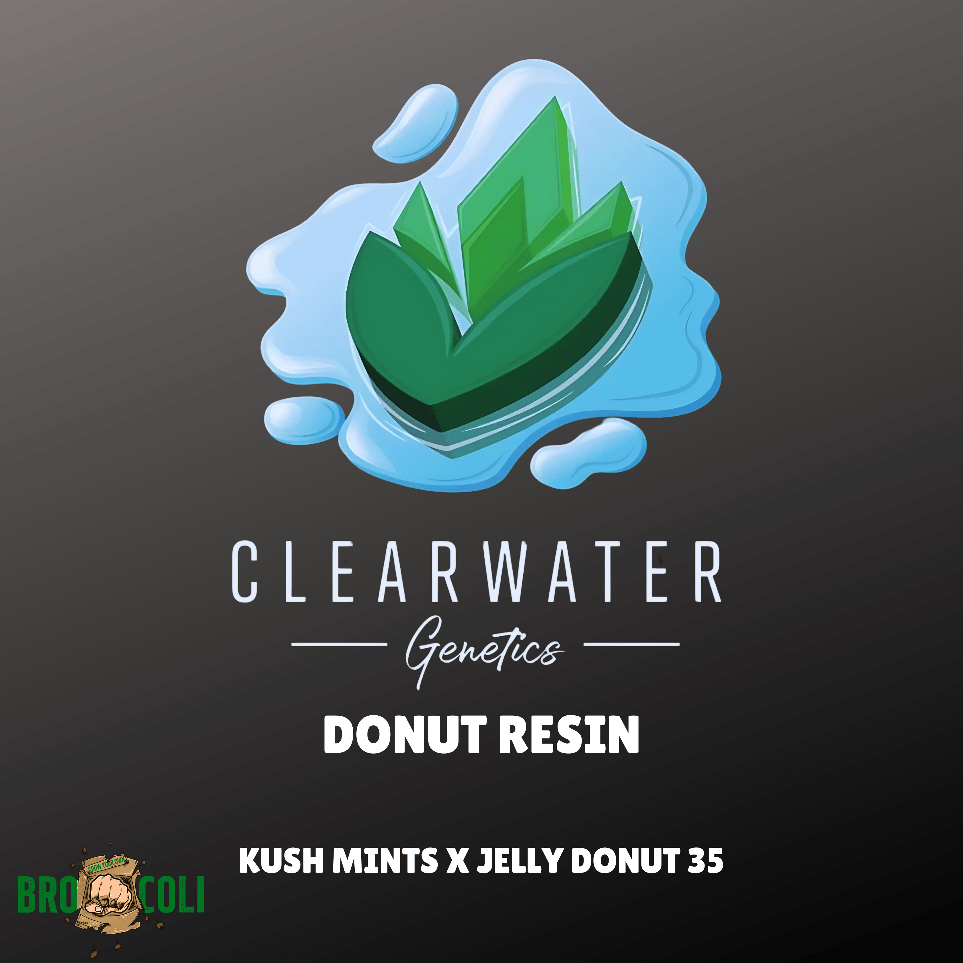 Donut Resin