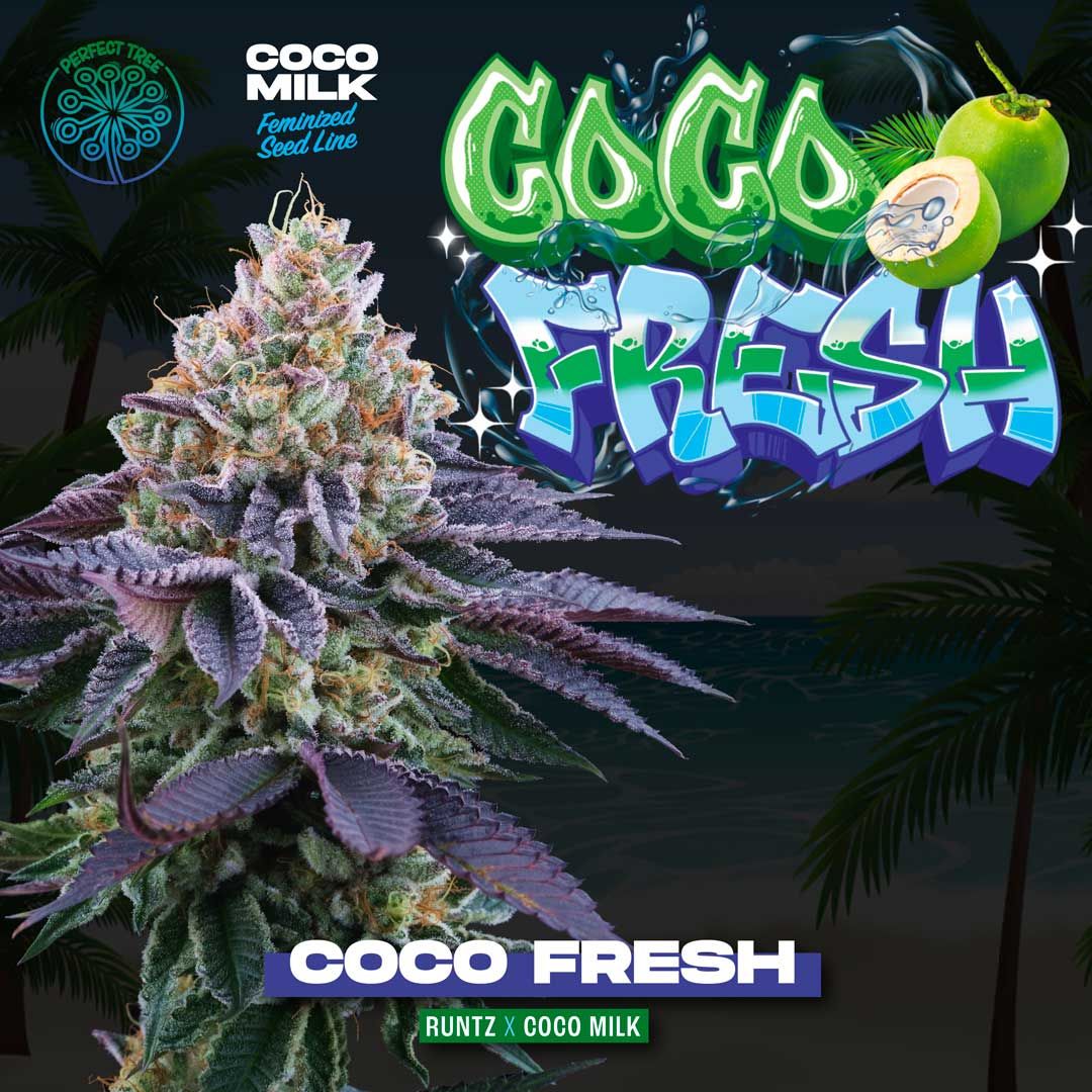 Coco Fresh